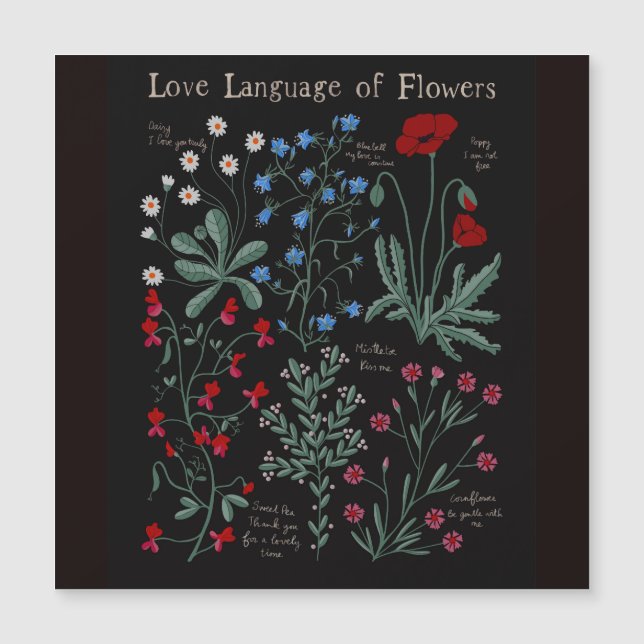 Floriograpia Língua de amor das flores botânica (Frente)