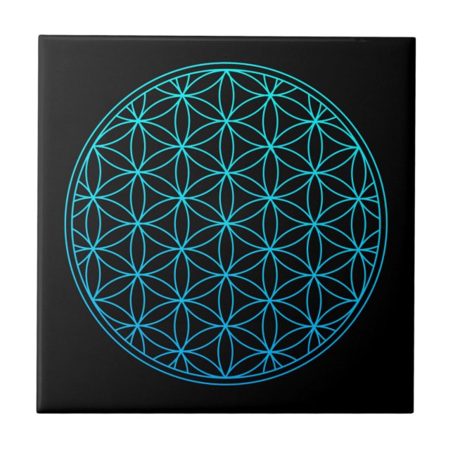 flower of life sacred geometry symbol ancient zen  (Frente)