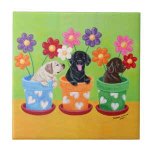 Flower Pote Labrador Puppies