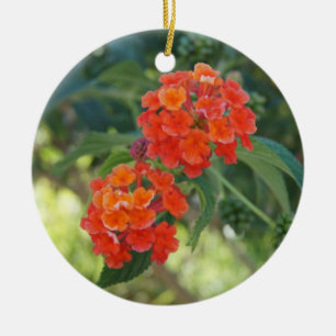 Flower power & ornamento da natureza - Lantana