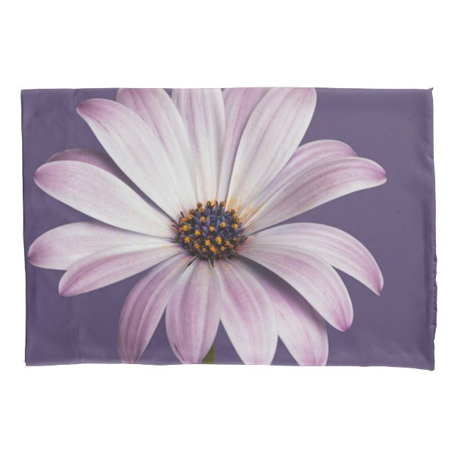 Flowers | White & Purple Daisy (Frente)