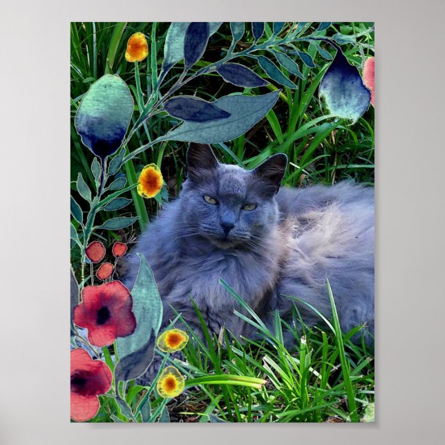 Fluffy Long Haired Blue Poster (Frente)