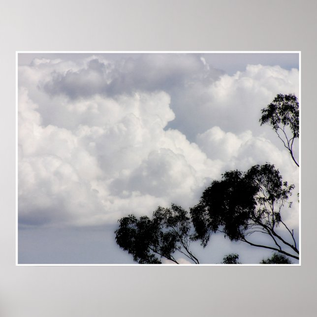 Fluffy White Poster (Frente)