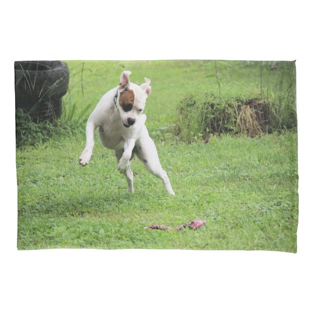 Flutuação (Frente)