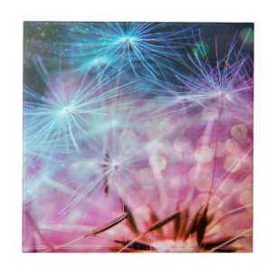 Flutuação colorida arco-íris dos sopros do