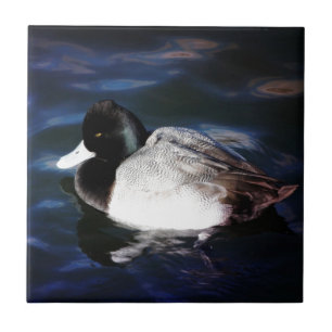 Flutuação com luz do sol