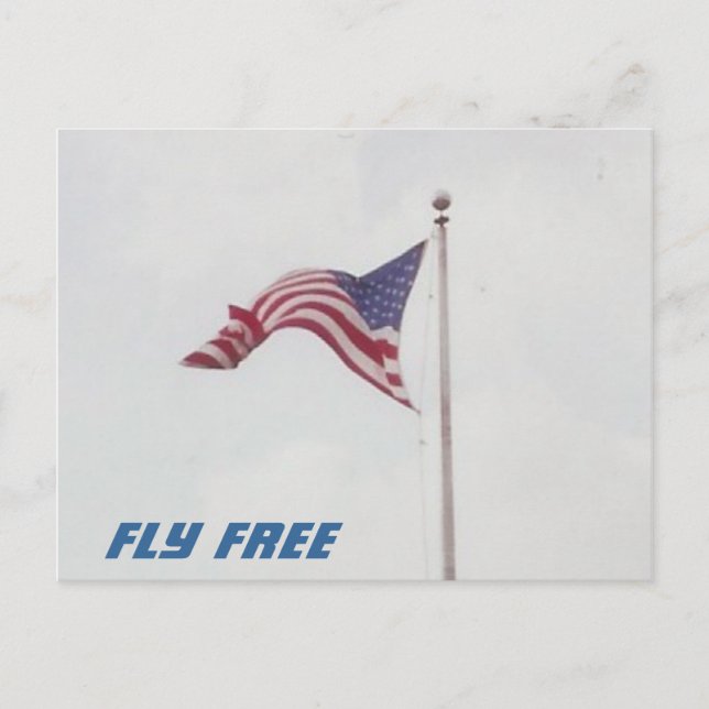 Fly Free USA Flag - cartão postal (Frente)
