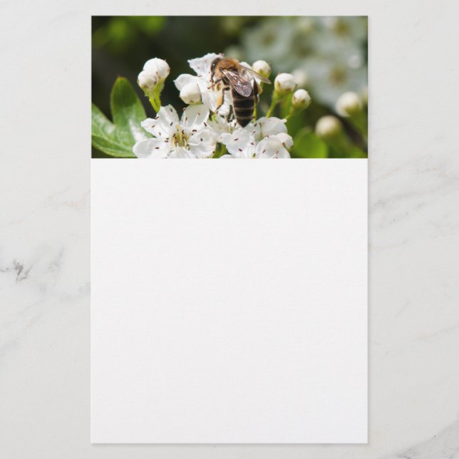 Flyer A abelha coleta pólen (Frente)