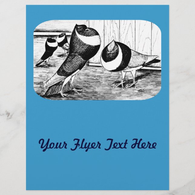 Flyer Aachen Banda Cropper Pigeons (Frente)