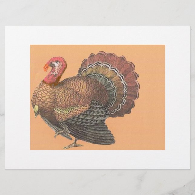 Flyer Ação de Graças à Turquia (Frente)