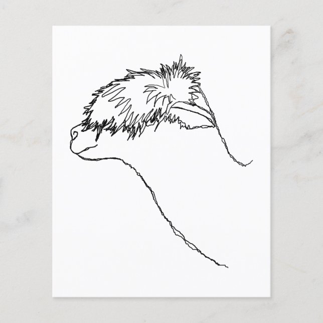 Flyer Alpaca Sketch. (Frente)