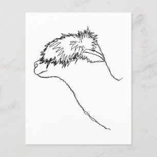 Flyer Alpaca Sketch.