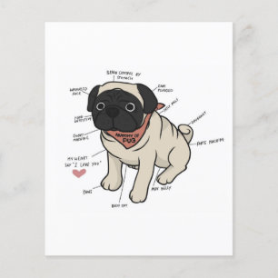 Flyer Anatomia Do Gráfico De Cães Pug