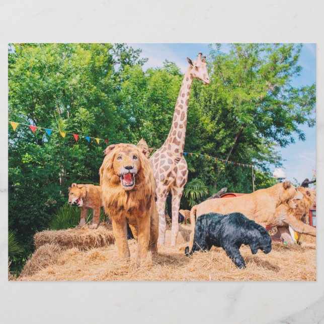 Flyer Animais de pelúcia (Frente)