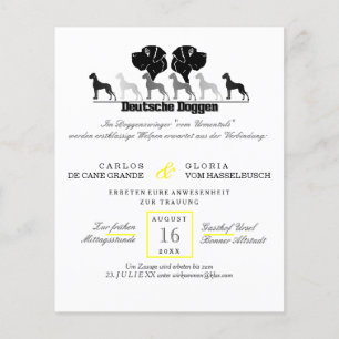 Flyer Aniversário do cachorro
