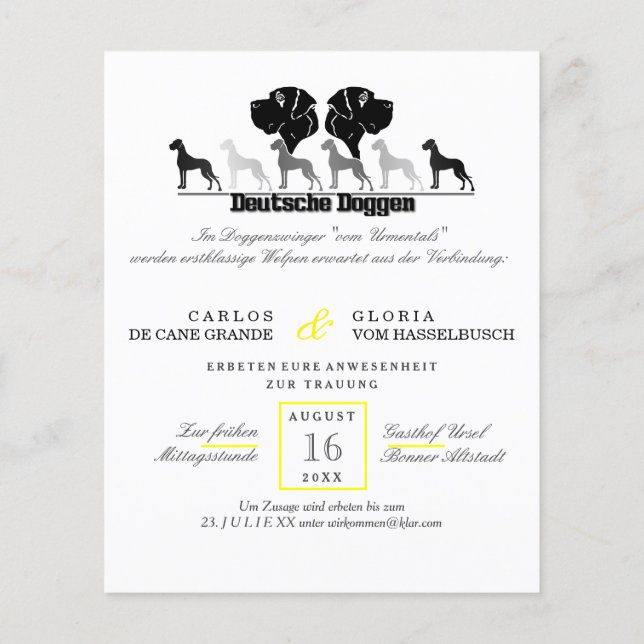 Flyer Aniversário do cachorro  (Verso)