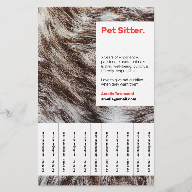Flyer Anúncio de Serviço de Atenção de Pet Sitter Modern (Frente)