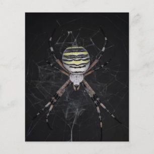 Flyer Aranha Ouro de Jardim Presente de Amantes de Aran