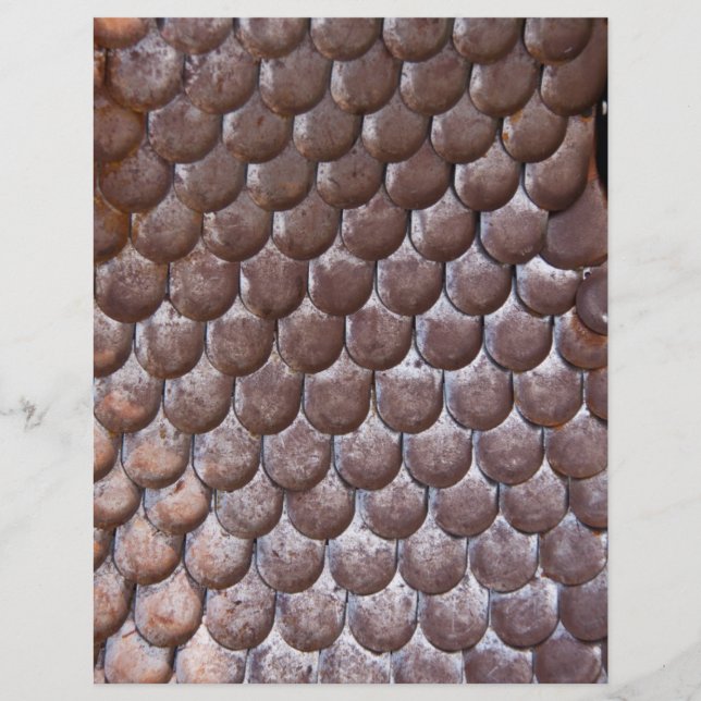 Flyer Armadura de escamas antiga (Frente)