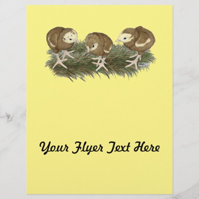 Flyer Aves de capoeira de chocolate (Frente)