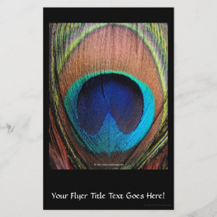Flyer Azuis ricos da pena macro do pavão fotográficos