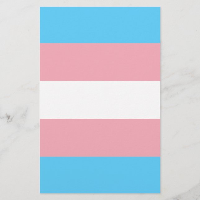 Flyer Bandeira do Orgulho Transgênero (Frente)