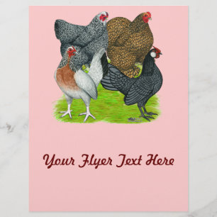 Flyer Bantam Hen Quartet