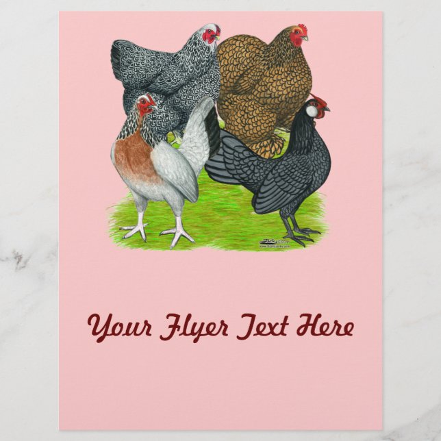 Flyer Bantam Hen Quartet (Frente)