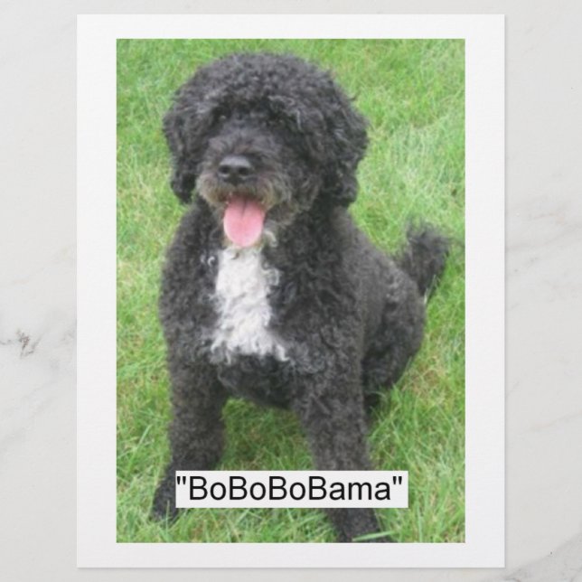 Flyer Barack Obama Cão de Água Português (Frente)