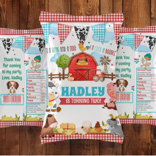 Flyer Barramento de Chip Bag do Partido Birthday