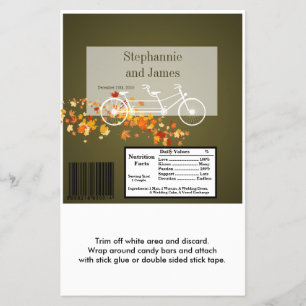 Flyer Bicicleta do dobro da queda de Brown do envoltóri