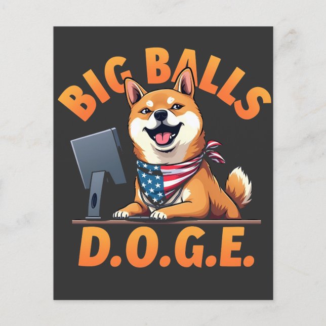 Flyer Big Balls Doge Department of the Efficiency do Gov (Frente)