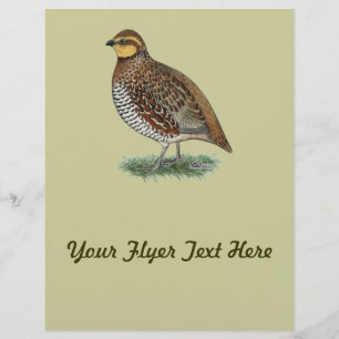 Flyer Bobwhite Quail Hen