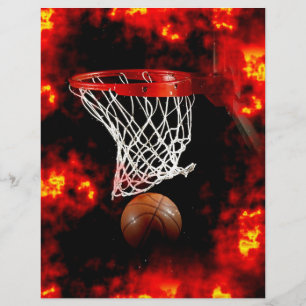 Flyer Bola do basquetebol & insecto da rede