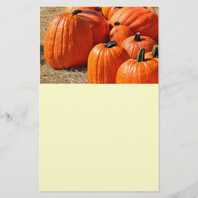 Flyer bombagem para venda (Frente)