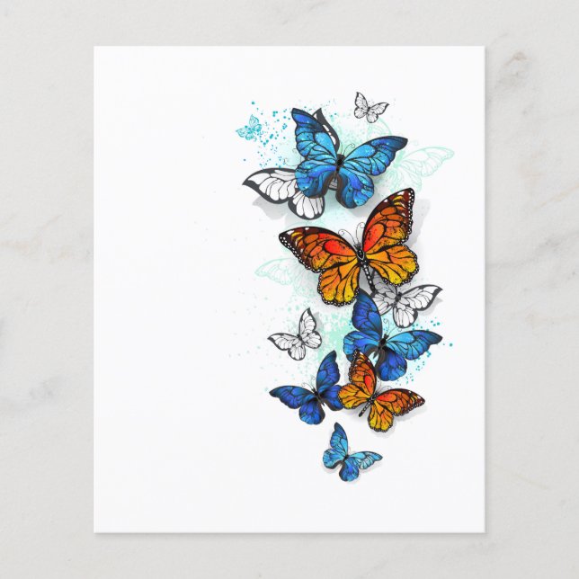 Flyer Borboletas voadoras Morpho e Monarca (Frente)