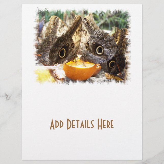 FLYER BORRACHAS (Frente)