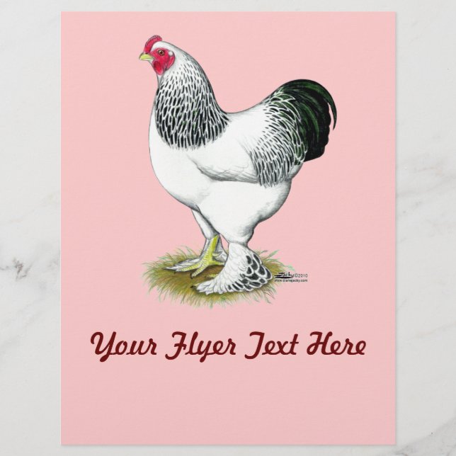 Flyer Brahma: Leve Rooster (Frente)