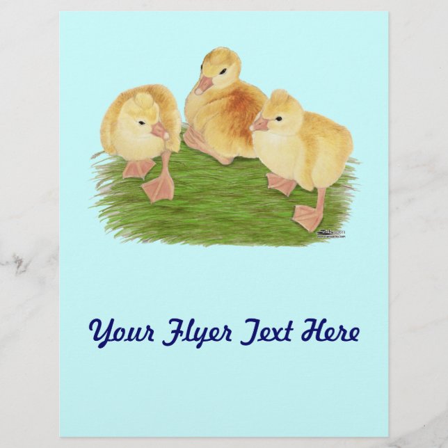 Flyer Buff Goslings Tufted (Frente)