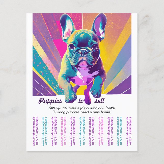 Flyer Bulldog Francês para o seu lar (Frente)