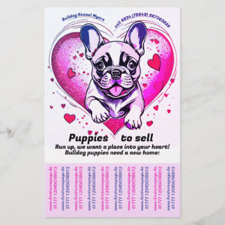 Flyer Bulldog Francês para o seu lar