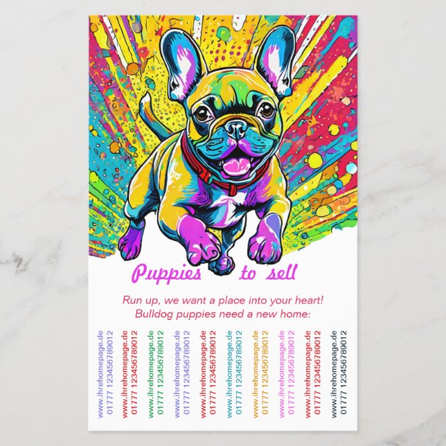 Flyer Bulldog Francês para sua casa (Frente)