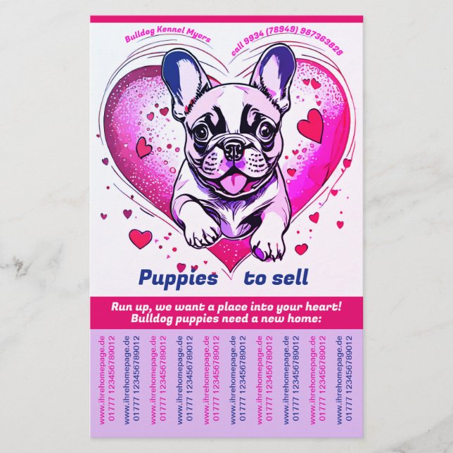Flyer Bulldog Francês para sua casa (Frente)