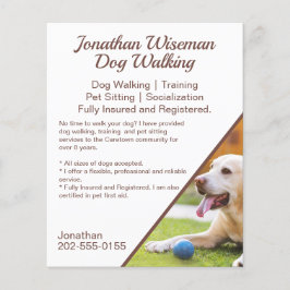 Flyer Cachorro Caminhando Pet Sentando Promocional Comer