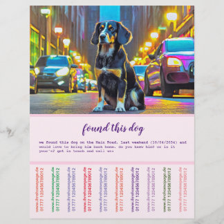 Flyer Cachorro e gato