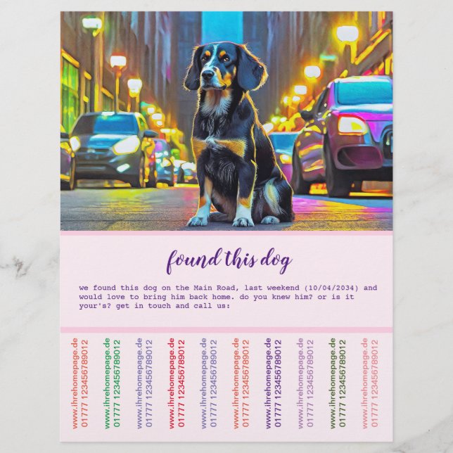Flyer Cachorro e gato (Frente)