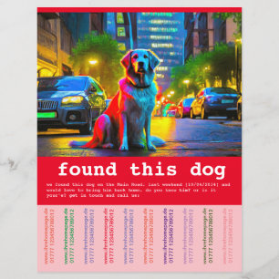 Flyer Cachorro Encontrado 