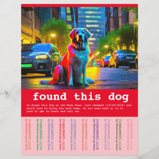 Flyer Cachorro Encontrado 