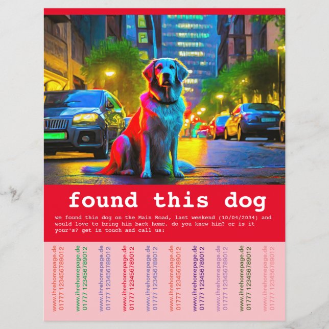 Flyer Cachorro Encontrado  (Frente)