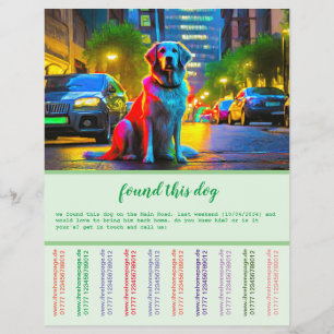 Flyer Cachorro Encontrado 
